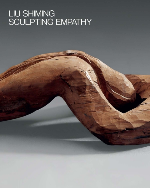 Cover image for book Liu Shiming