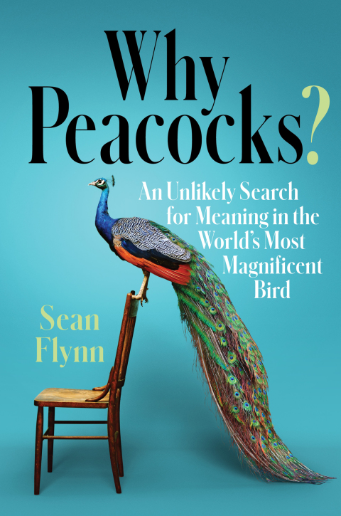Cover image for book Why Peacocks?