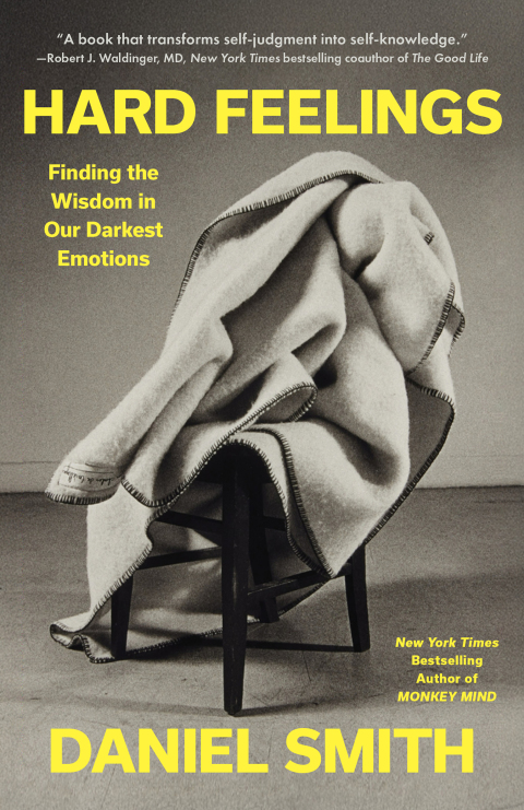 Cover image for book Hard Feelings