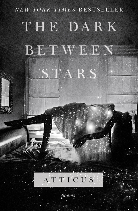 Cover image for book The Dark Between Stars