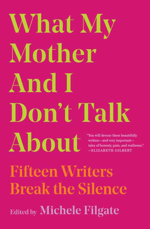 Cover image for book What My Mother and I Don't Talk About