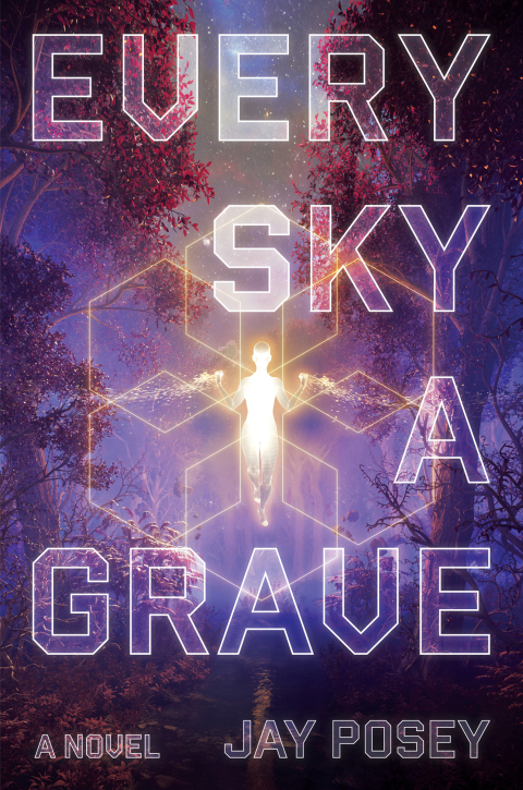 Cover image for book Every Sky a Grave