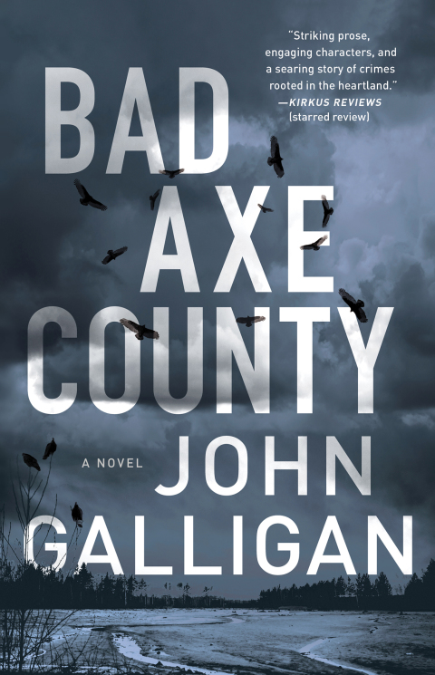 Cover image for book Bad Axe County