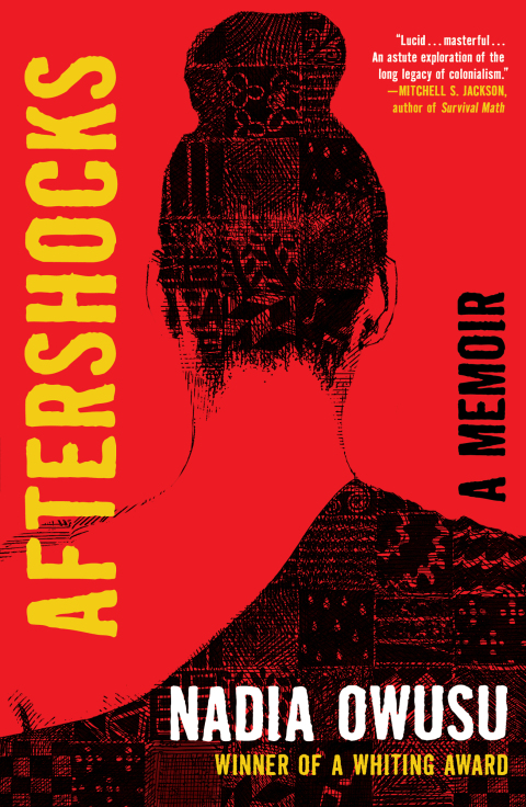 Cover image for book Aftershocks