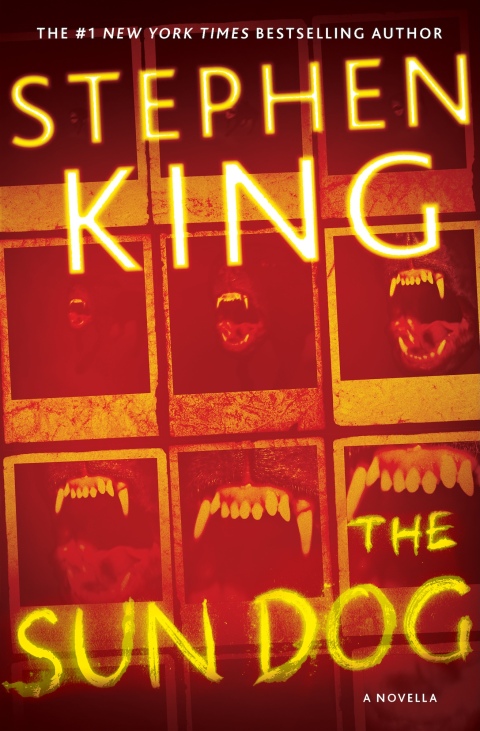 Cover image for book The Sun Dog