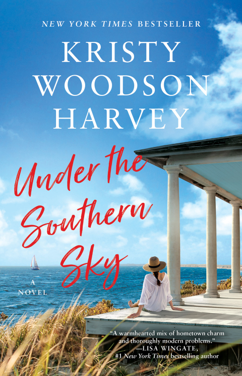 Cover image for book Under the Southern Sky