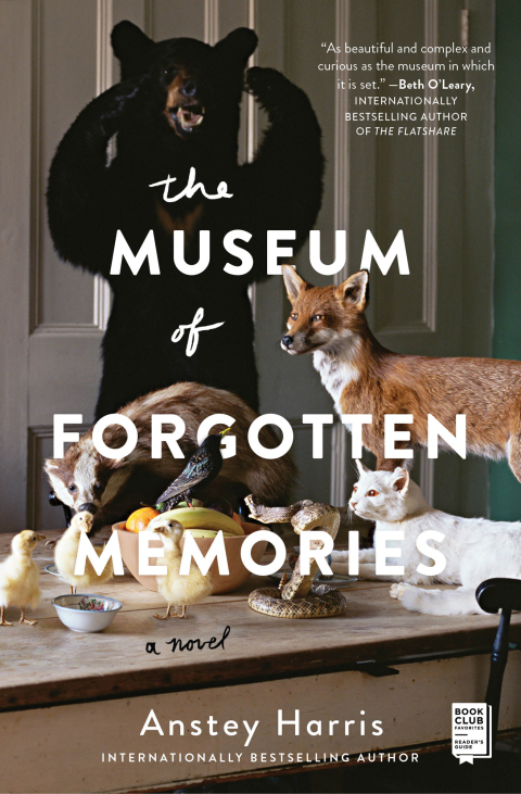 Cover image for book The Museum of Forgotten Memories
