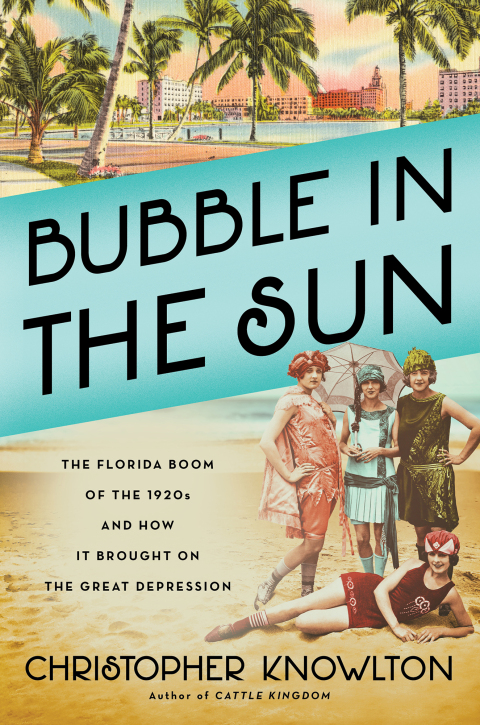 Cover image for book Bubble in the Sun