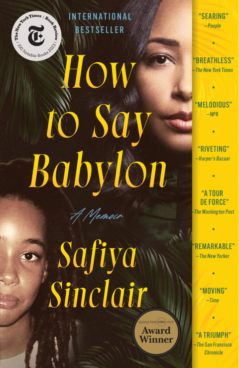 Cover image for book How to Say Babylon