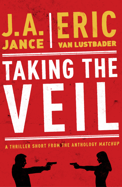 Cover image for book Taking the Veil