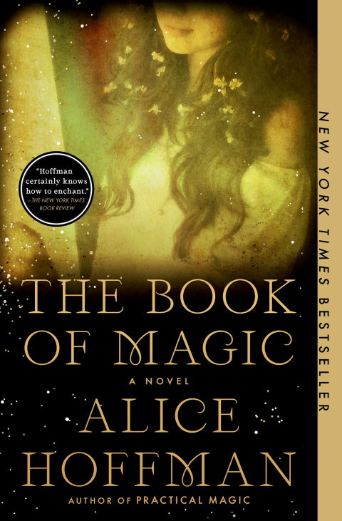 Cover image for book The Book of Magic (Practical Magic 2)