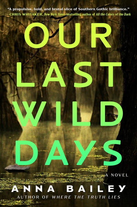 Cover image for book Our Last Wild Days