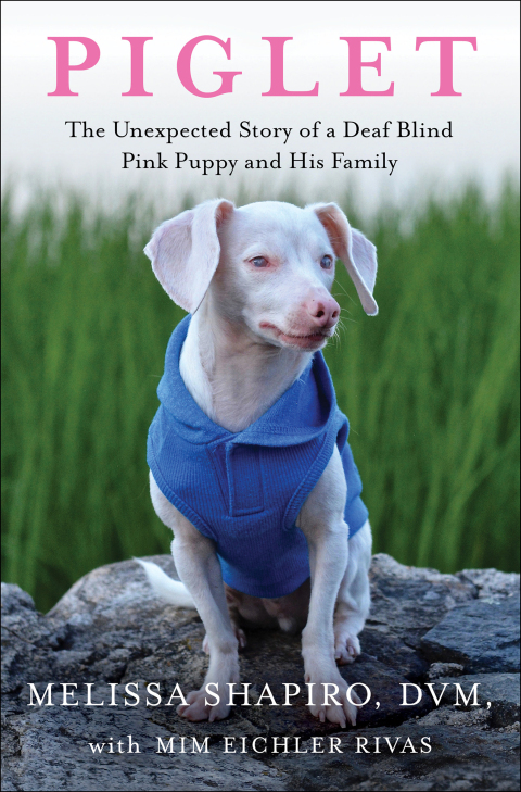 Cover image for book Piglet