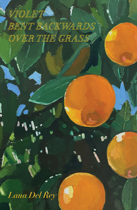 Cover image for book Violet Bent Backwards Over the Grass