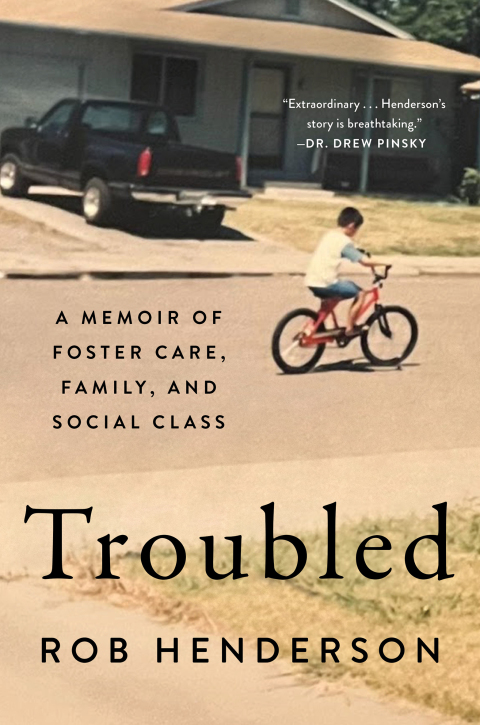 Cover image for book Troubled