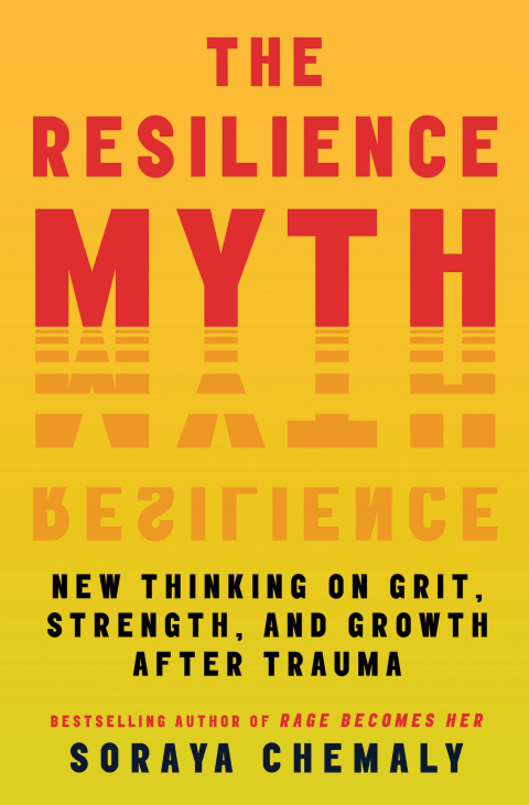 Cover image for book The Resilience Myth