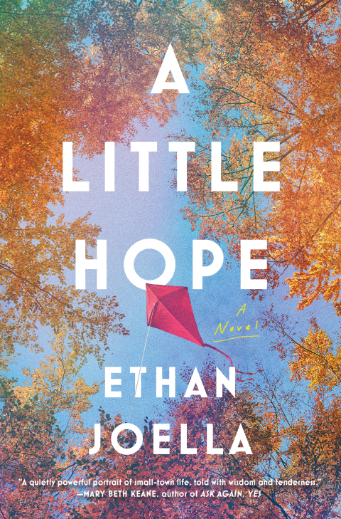 Cover image for book A Little Hope