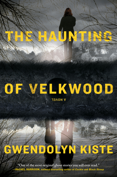 Cover image for book The Haunting of Velkwood