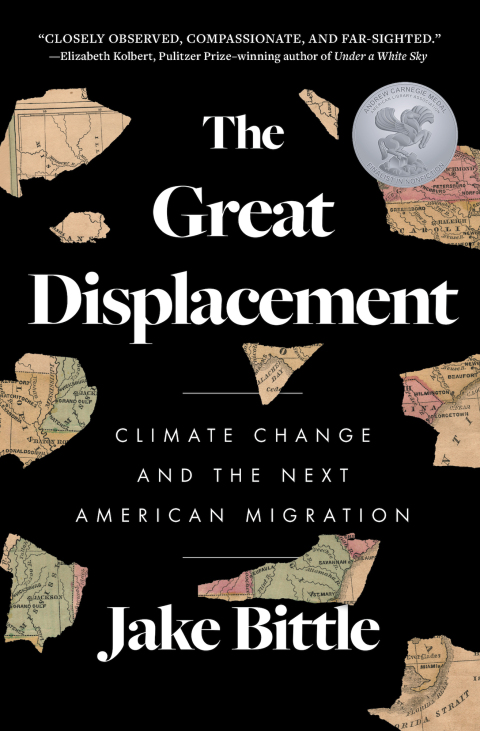 Cover image for book The Great Displacement