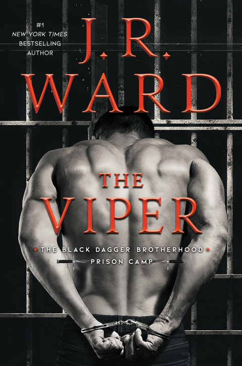 Cover image for book The Viper