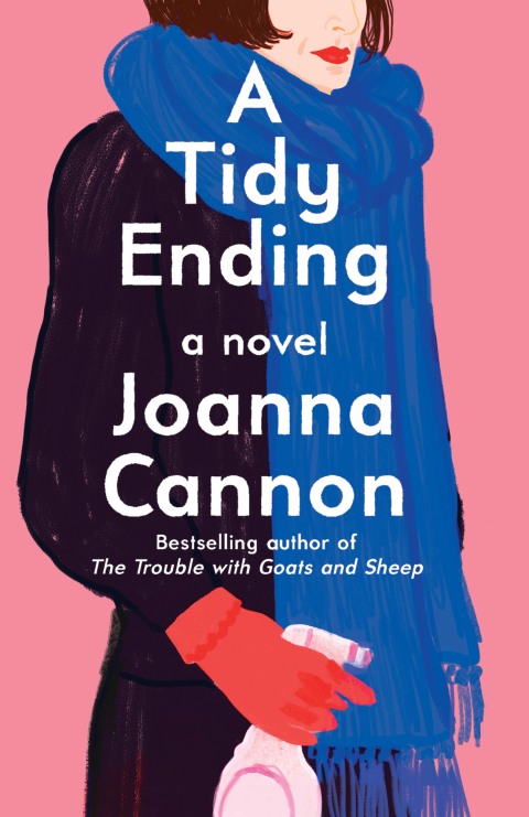 Cover image for book A Tidy Ending