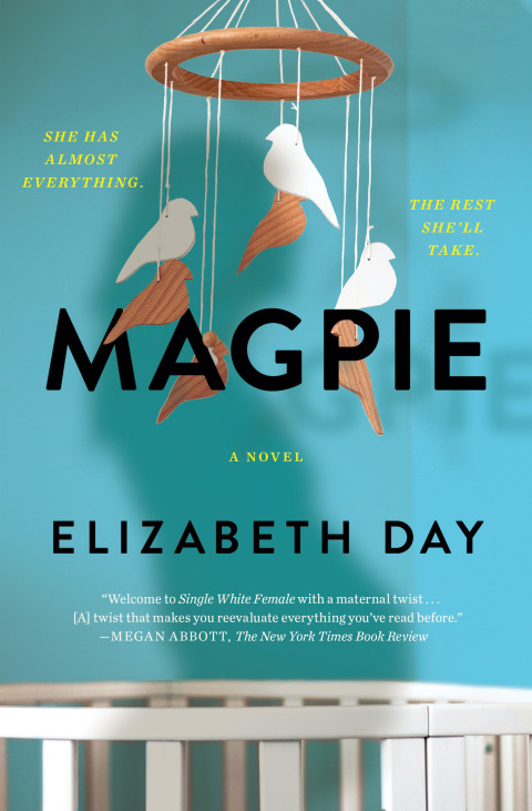 Cover image for book Magpie