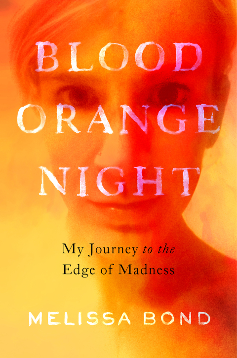 Cover image for book Blood Orange Night