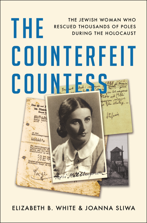 Cover image for book The Counterfeit Countess