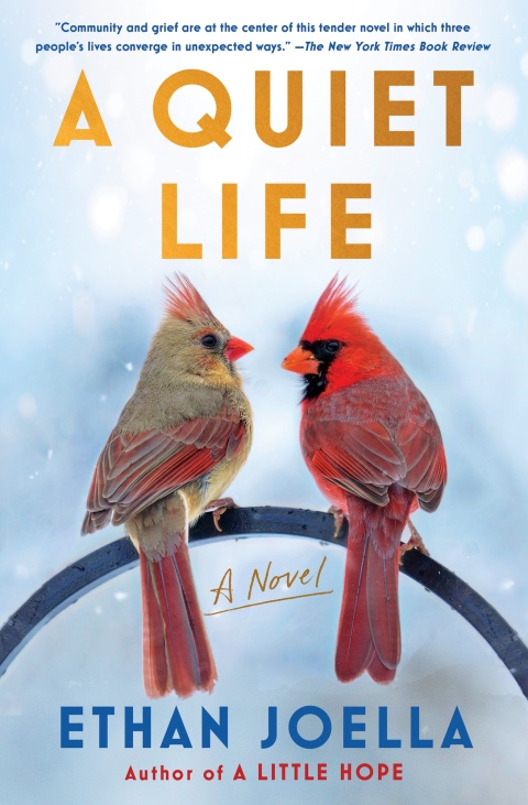 Cover image for book A Quiet Life