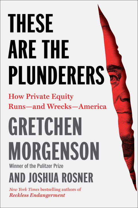 Cover image for book These Are the Plunderers