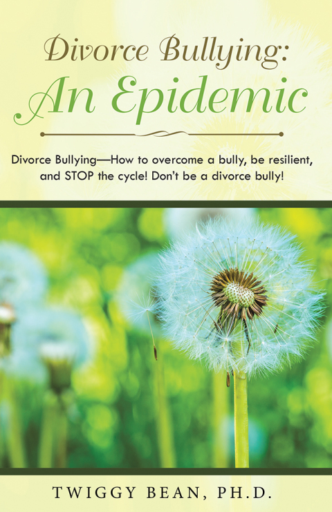 Cover image for book Divorce Bullying: an Epidemic