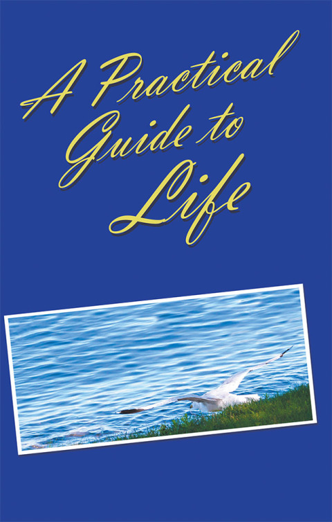 Cover image for book A Practical Guide to Life