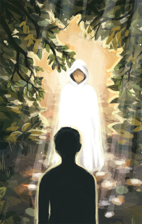 Cover image for book The Line