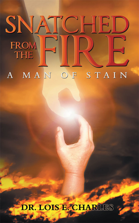 Cover image for book Snatched from the Fire