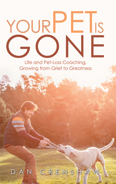 Cover image for book Your Pet Is Gone