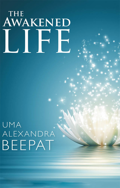 Cover image for book The Awakened Life
