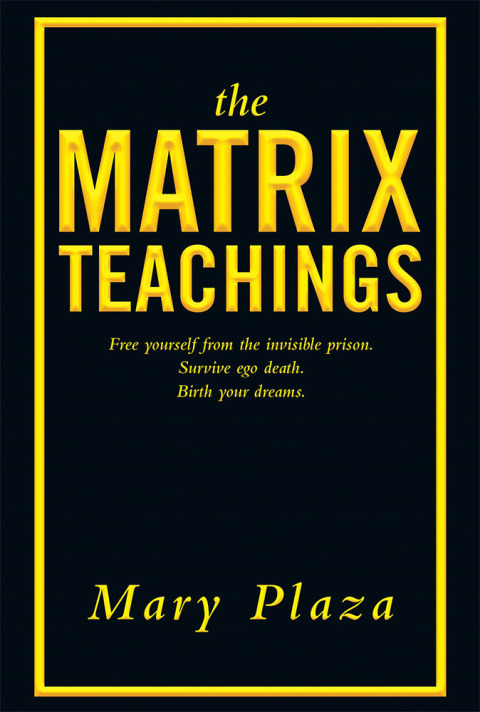 Cover image for book The Matrix Teachings