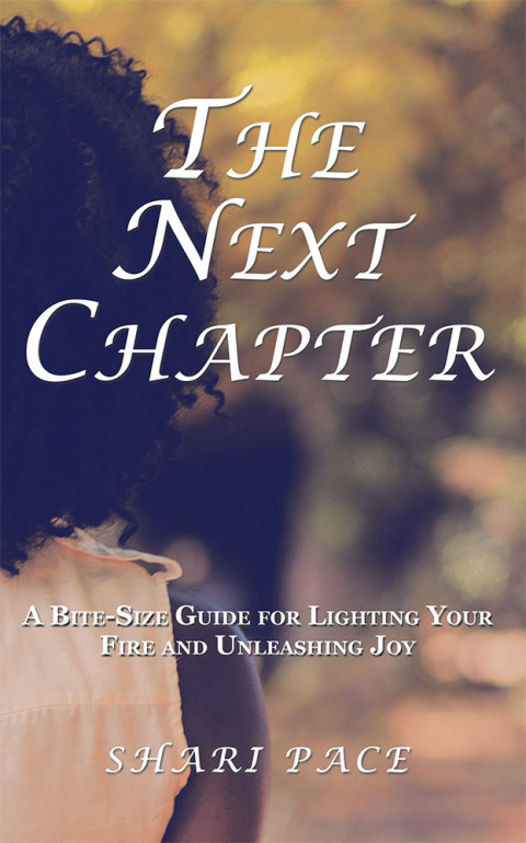 Cover image for book The Next Chapter