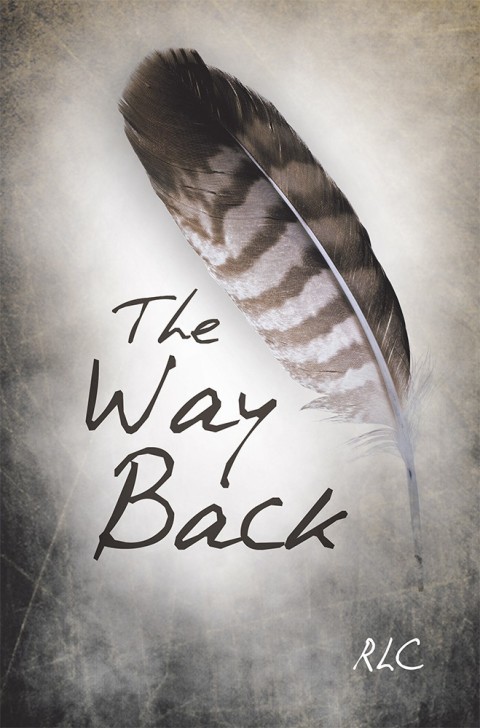 Cover image for book The Way Back