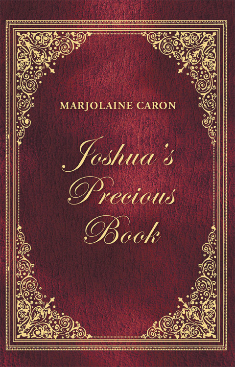 Cover image for book Joshua’S Precious Book