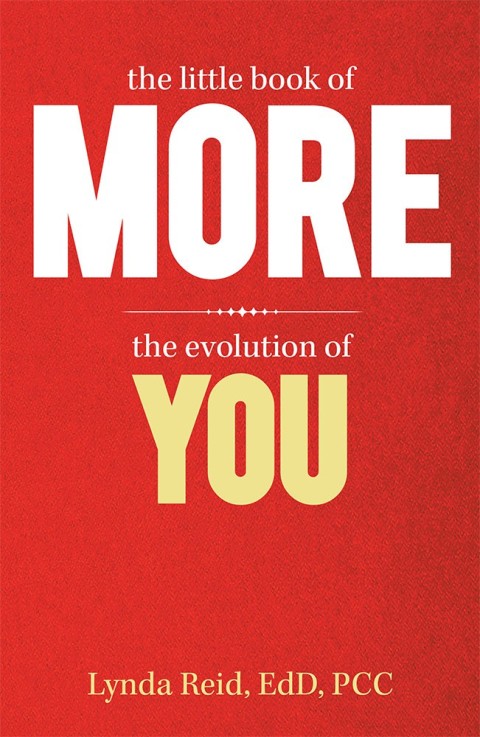 Cover image for book The Little Book of More
