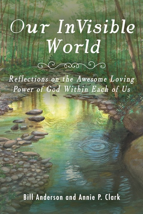 Cover image for book Our Invisible World