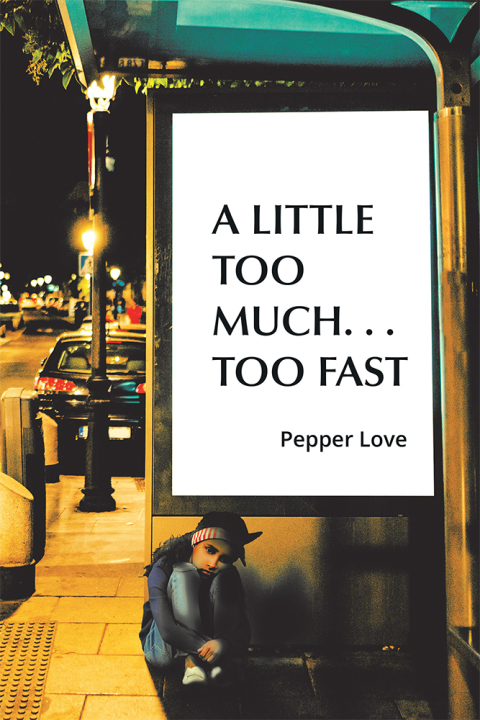 Cover image for book A Little Too Much . . . Too Fast