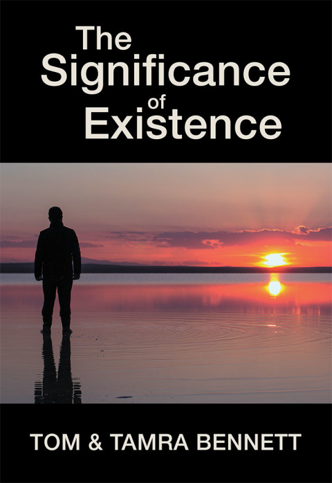 Cover image for book The Significance of Existence