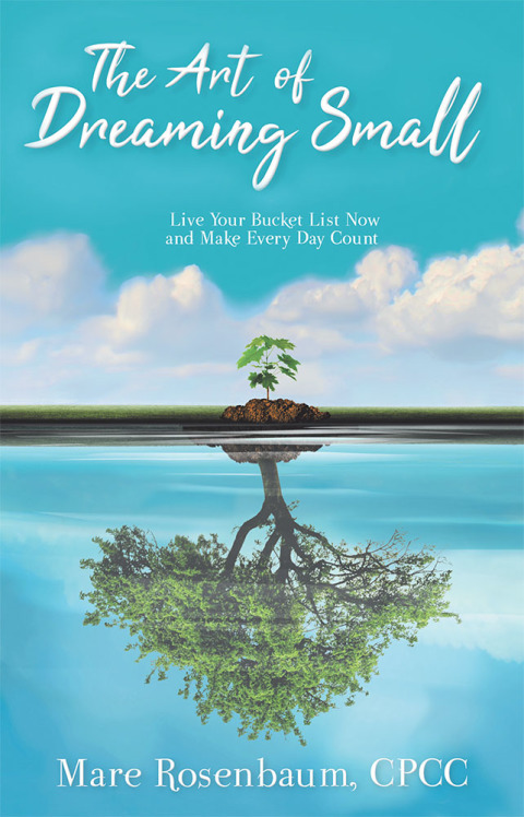 Cover image for book The Art of Dreaming Small