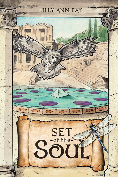 Cover image for book The Set of the Soul