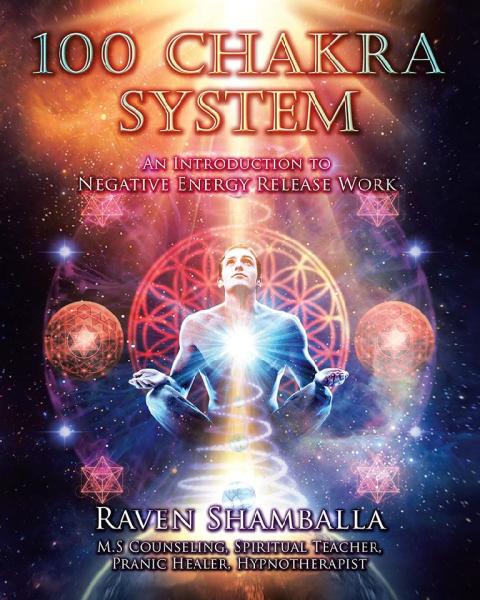 Cover image for book 100 Chakra System