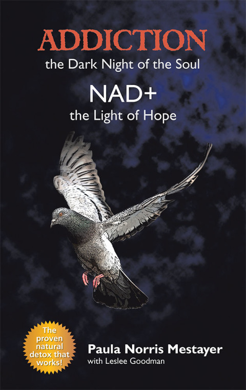 Cover image for book Addiction: the Dark Night of the Soul/ Nad : the Light of Hope