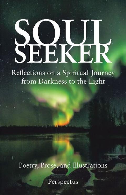 Cover image for book Soul Seeker