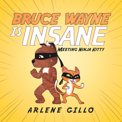 Cover image for book Bruce Wayne Is Insane